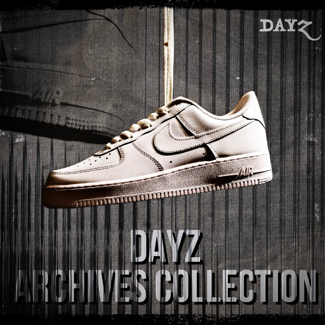 DAYZ ARCHIVES COLLECTION 2