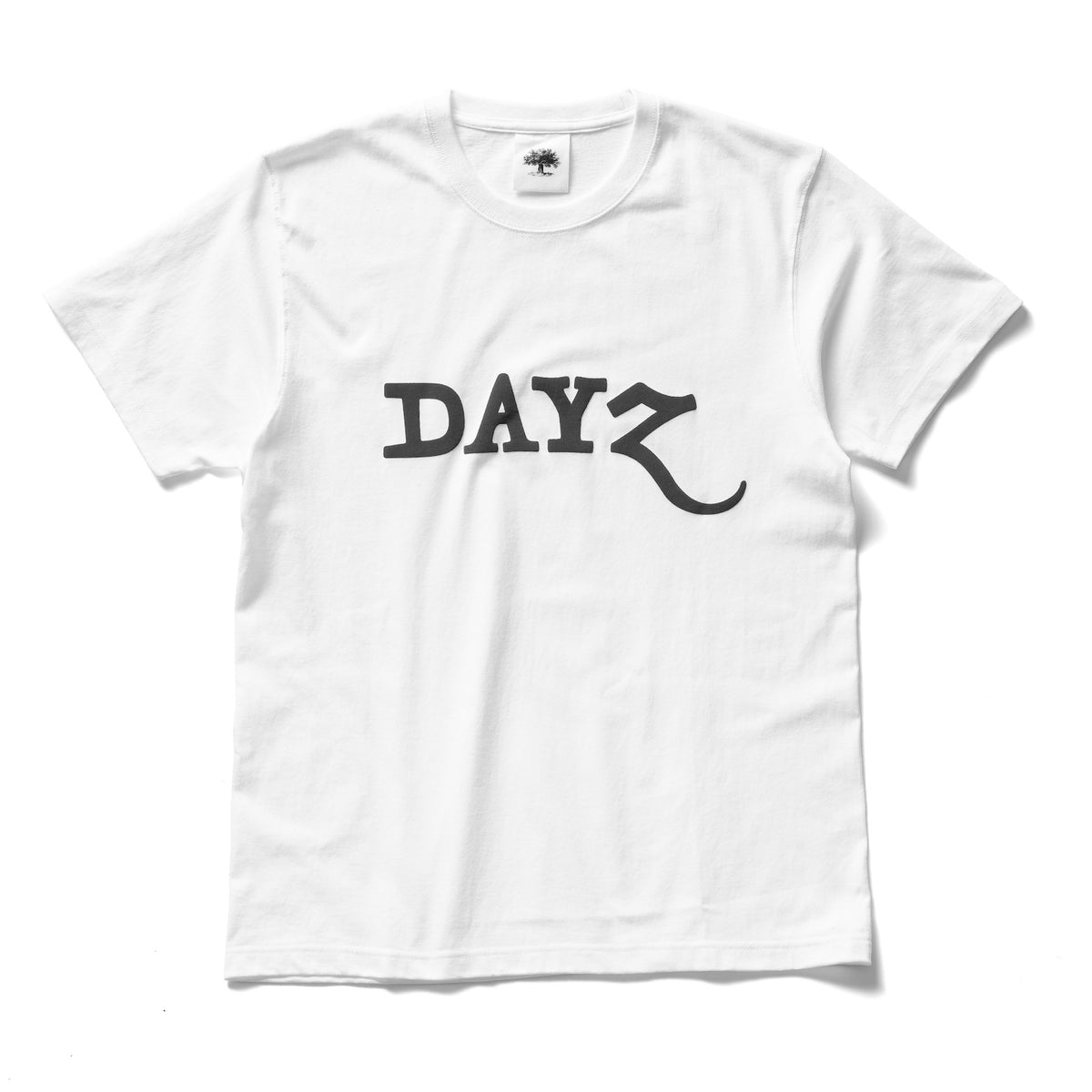 Tシャツ/カットソー(半袖/袖なし)dayz  TEE