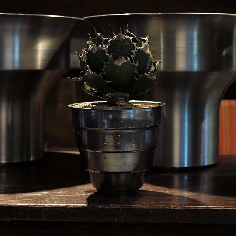 TYPE-1 CHRYSALIS / STEEL / S | MASSES × M&M POT | DAYZ ARCHIVES
